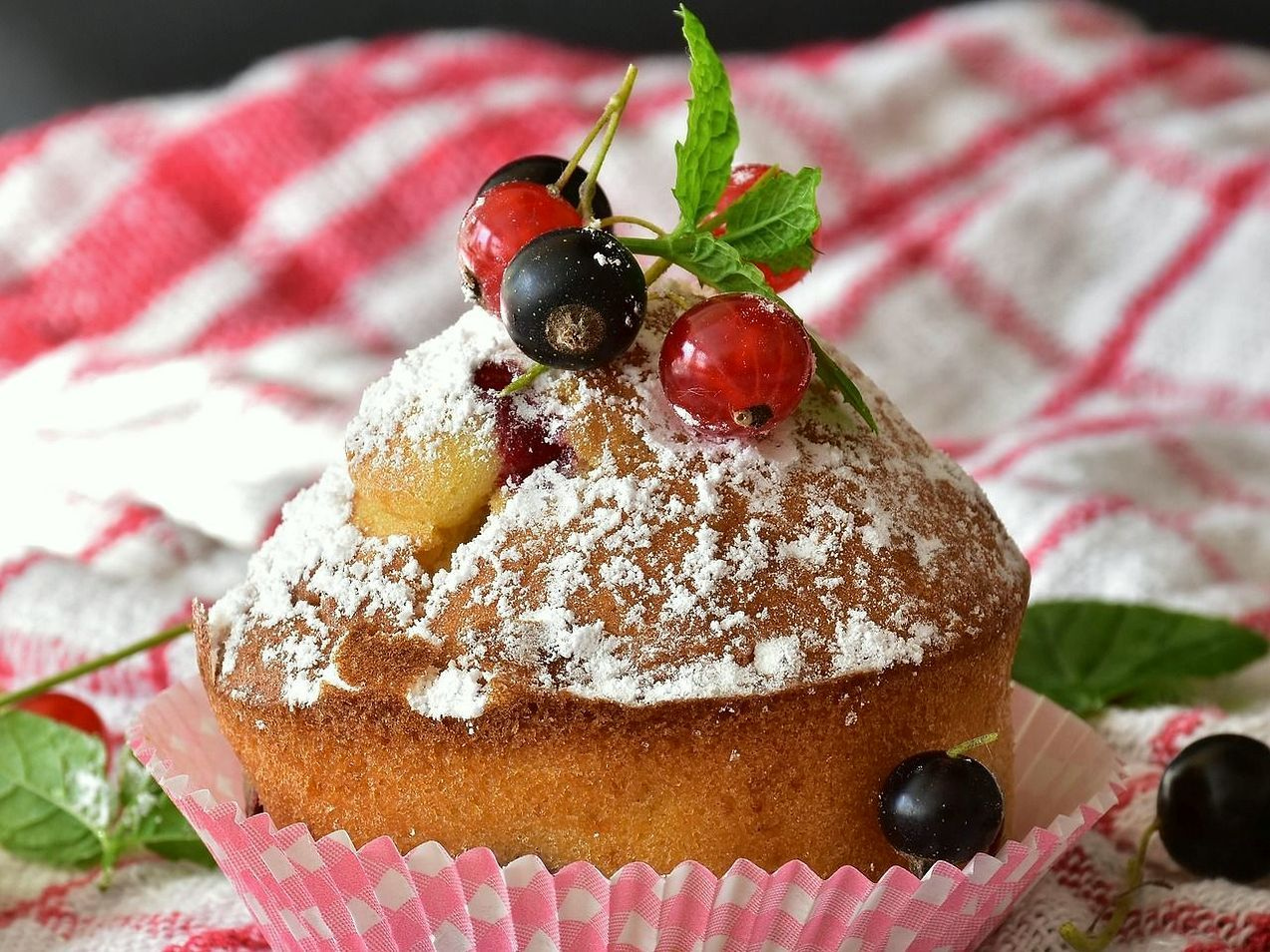 Fresh recipe